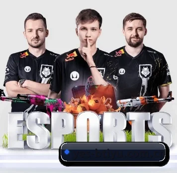 国际化进程 | sports